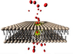 Eine Nanomembran - winzig klein, aber hochkomplex und schwer am Computer zu simu