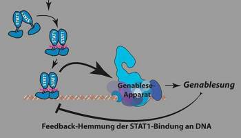 Prozessoptimierung in der Zelle