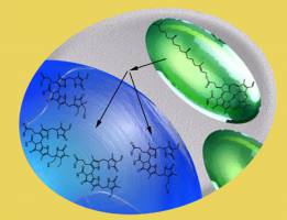 R�tselhaftes Intermezzo