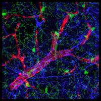 Einsatz in der Schaltzentrale