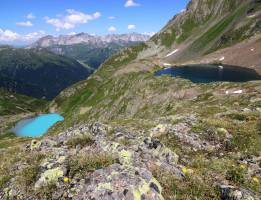 Immer weniger Diversit�t