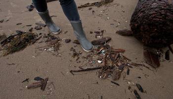 Mikroplastik in der Umwelt: Von der Nanoforschung lernen