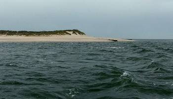 Und sie bewegen sich doch