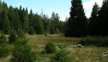 Die Klimaerw�rmung 