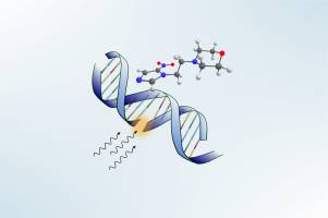 Krebsmedikament wird durch langsame Elektronen aktiviert