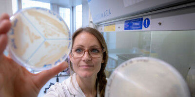 Schl�ssel zur Robustheit von Pflanzen entdeckt