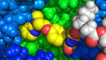 Therapiem�glichkeit f�r genetische Erkrankungen