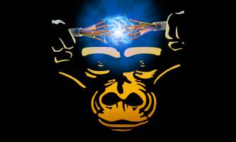 Auf der Suche nach personalisierten Krebsmedikamenten