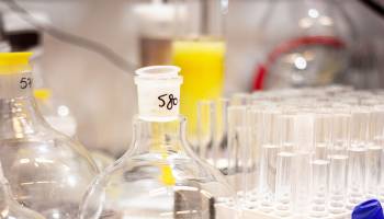 Chemie: Wenn lange Verkanntes n�tzlich wird