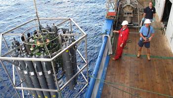 Das Beziehungsleben der Mikroorganismen