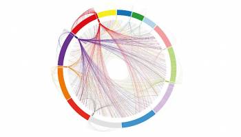 Sex bei intrazellul�ren Bakterien