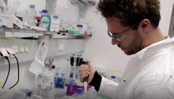 Wegweiser f�r die Wundheilung: Erstmals Kleeblattpeptid synthetisiert