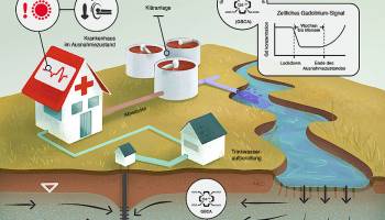 Wie man die Verschmutzung des Trinkwassers mit MRT-Kontrastmitteln verhindert