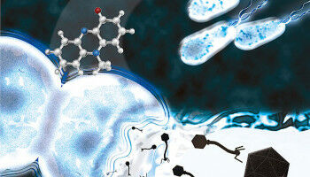 Bakterien kapern schlafendes Virus von Konkurrenten