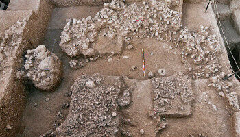 Der Neandertaler hat keine rein europ�ische Entstehungsgeschichte