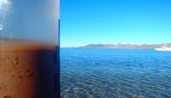 DNA als Mahlzeit von Meeresboden-Mikroben