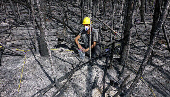The persistent danger after landscape fires