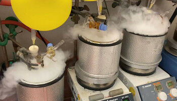 Vielseitige Enamide mit Potenzial f�r die Medikamentenentwicklung