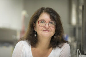 Gezielte Mikrobiom-Transplantationen: F�r mehr biologische Vielfalt und ein robustes �kosystem