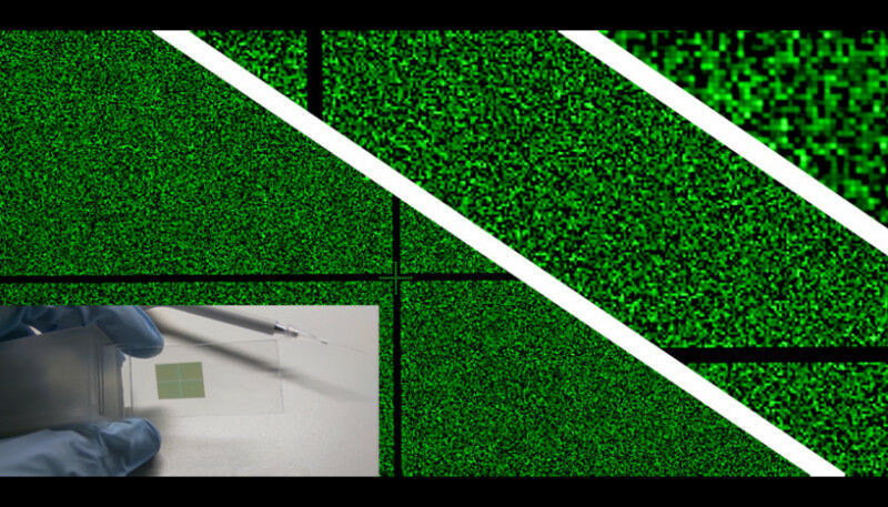 Ein hochdichter RNA-Mikrochip in Originalgröße hat etwa die Größe eines Fingerna