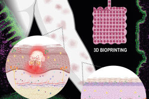 Hautmodelle mittels 3D-Bioprinting