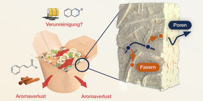 How Permeable are Paper Food Packaging Materials?