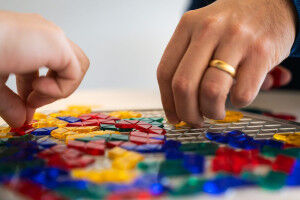 Der Bauplan der Natur