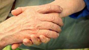 10 Jahre Institut f�r Pflegewissenschaft