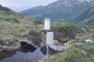 15 Jahre hydrologische Prozessforschung im Versuchseinzugsgebiet L�hnersbach bei Saalbach