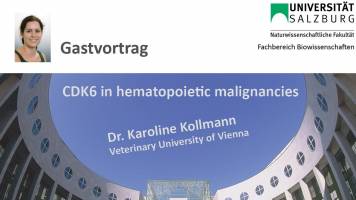 19.2.: Gastvortrag: CDK6 in hematopoietic malignancies