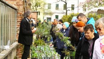 Alles, was grünt und blüht: Raritätenbörse im Botanischen Garten der Universität Wien