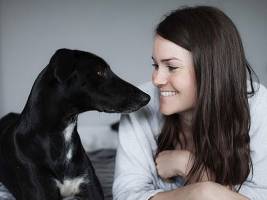 Animals and Humans Together - Integration in Society