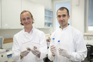 Aufhebung des Templerordens unwirksam?