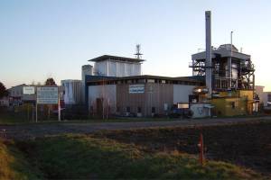 Aus Holz wird Strom und Diesel