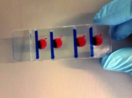 Austrian Microfluidics Initiative als Brückenbauerin zwischen Produkt und Forschung