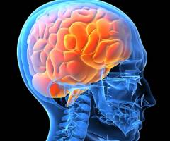 Bewegte Wissenschaft