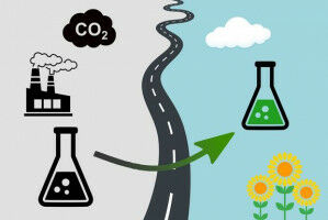 Bioasphalt: Auf dem Weg zum klimafreundlichen Stra�enbau
