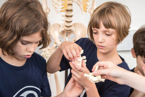 Children's University Medicine launched at MedUni Vienna