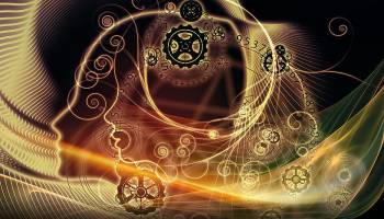 Das Zusammenspiel von Geist und Gehirn