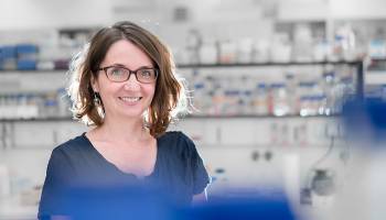 Drei ERC Consolidator Grants für Wissenschafterinnen der Universität Wien