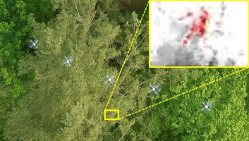 Drohnenschwarm ahmt V�gel nach und blickt durch Bl�tterd�cher