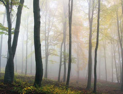 Natur- und auch Kulturlandschaften erbringen mehrere Leistungen. (Foto: Pixabay/