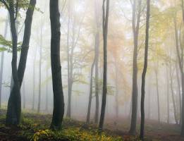 Ein Konflikt, der keiner sein muss