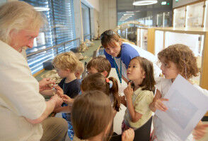 Einblicke: Aufbau des menschlichen Körpers