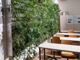 Eine Schule als gr�ne Oase