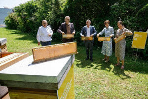 Es summt am JKU Campus