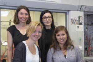 Förderungspreise für Materialchemie-Projekte