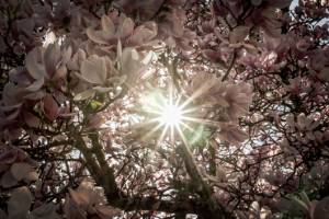 Geht's der Umwelt gut, geht's dem Menschen gut!