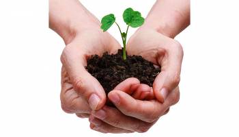 Global Political Economy of Sustainable Development