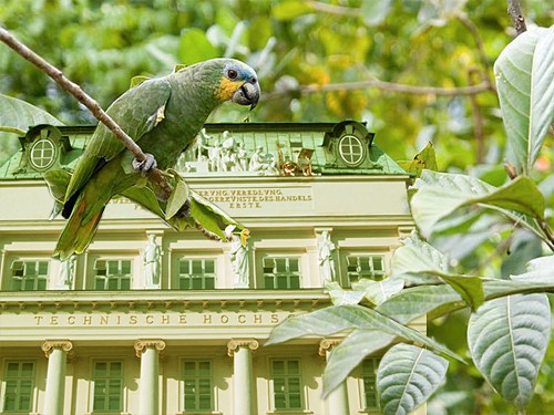 Wie gr�n ist die TU Wien?